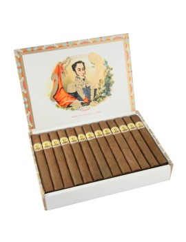 BOLIVAR Petit Coronas