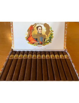 BOLIVAR Belicosos Finos