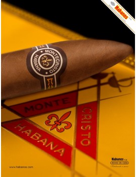 MONTECRISTO Petit No 2