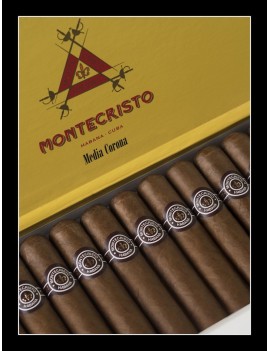 MONTECRISTO Medias Coronas