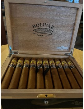 BOLIVAR Belicosos Finos...