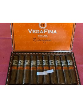 VegaFina Nicaragua Vulcano