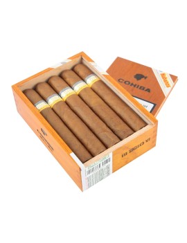 COHIBA Siglo VI