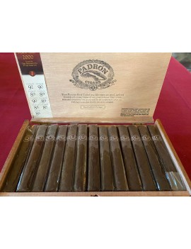 PADRON 2000