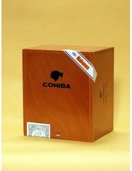 COHIBA Siglo VI