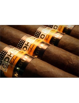 COHIBA Maduro 5 - Genios