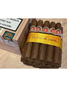 HOYO DE MONTERREY Le Hoyo...