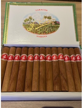 LA FLOR DE CANO Petit Coronas