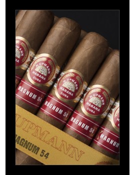 H.UPMANN Magnum 54