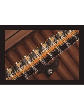 COHIBA Robusto Reserva...