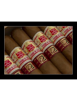 HOYO DE MONTERREY Epicure...