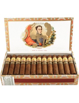 BOLIVAR Petit Belicosos...